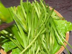 -芸鲜季·云南野生菌餐厅· 云南风物味研社(闵行店)