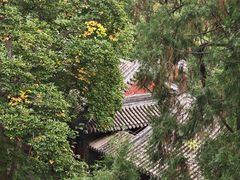 -香山公园