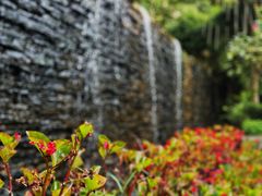 -老洋房花园饭店(绍兴路店)