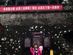 -武侯墓风景区