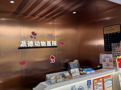 -pd派德宠物中心医院24H急重症·眼科中心·血液透析中心(嵩山北路店)