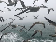 -海驴岛(荣成市)