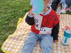 -云漫湖生态度假公园