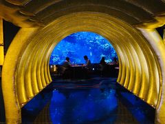 -迪拜帆船酒店海底餐厅