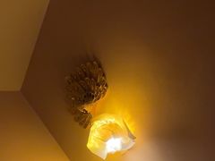 -金色莲花泰式按摩SPA(石牌店)