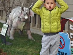 -国家自然博物馆