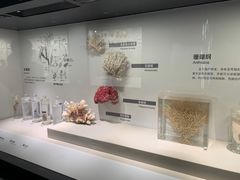 -四川大学博物馆