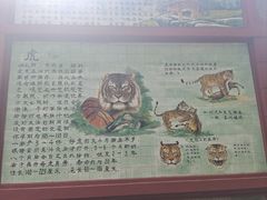 -保定市动物园