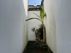 -程十发艺术馆