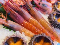 -Mr.Fish鱼鲜生海鲜放题(高德置地冬广场店)