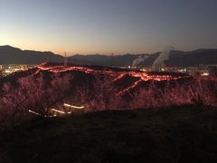 -红光山