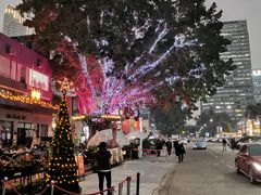 -野萃山·潮汕厚果汁(十亩地店)