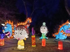 -南宫五洲植物乐园