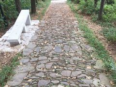 -雨花胜境