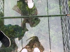 -梦幻奥陶纪景区