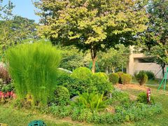 -东莞植物园