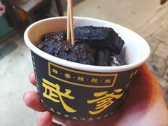 -武爹臭豆腐(坡子街店)