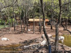 -沈阳森林动物园