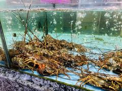 -天然居·漳港海鲜·海景餐厅(南澳总店)