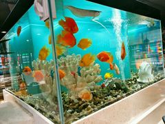 -瑞伯克牛排自助餐厅天一广场店
