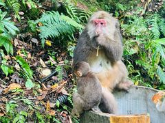 -西岭雪山大飞水景区