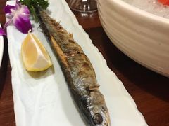 -渔日本料理铁板烧(新天地假日广场店)