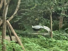 -福建鲤鱼洲酒店