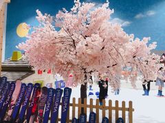 -Mr·Kuma酷么先生雪之乐园