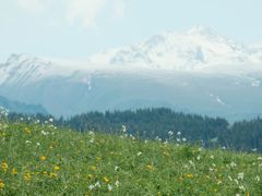 -新疆那拉提国家旅游度假区