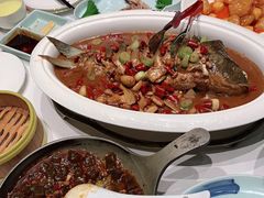 -阿五黄河大鲤鱼(海尚店)