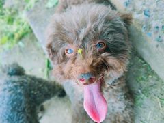 -乌龙涧铁道铁轨景