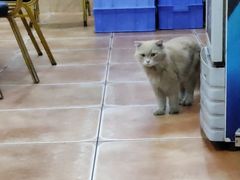 -众源美食(光复阁店)