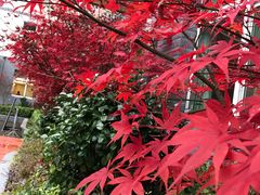 -光雾山十八月潭风景区-售票处