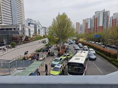 -山东大学齐鲁医院(青岛院区)