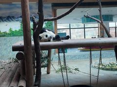-西安秦岭野生动物园