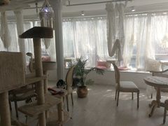 大堂-共舞时光猫咖·狗咖(新街口店)