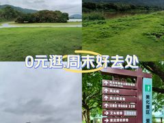 -风云岭森林公园