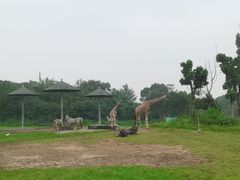 -宁波野生动物园