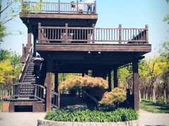 -天津东丽湖风景区