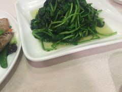 -天福苑(崇宁路店)
