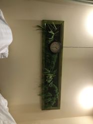 点击看大图 -芳朵美容养生SPA