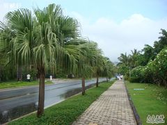 DSC01798-三亚亚龙湾天域度假酒店