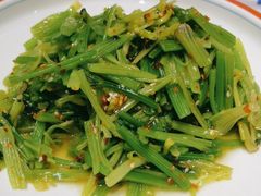 热拌老家芹菜-柴火农家·江西赣南菜(土华店)