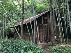 -贵阳猴耳天坑·极限酷玩公园