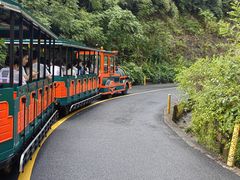 -杭州野生动物世界