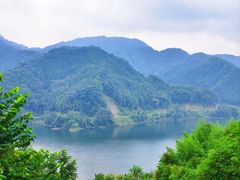 -祖传曾羊肉饭店