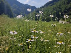 -秦岭终南山世界地质公园翠华山景区