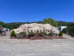 -北京西山国家森林公园