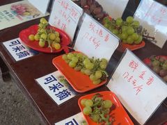 -马陆小张葡萄园农家乐