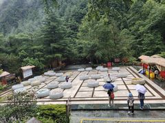 -苍山感通索道